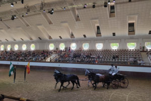 Como bailan los caballos andaluces, Jerez de la Frontera