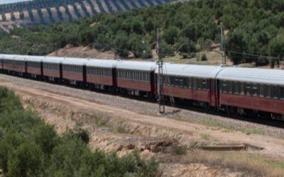 Entre olivares, dehesas y llanuras a bordo del tren Al Ándalus